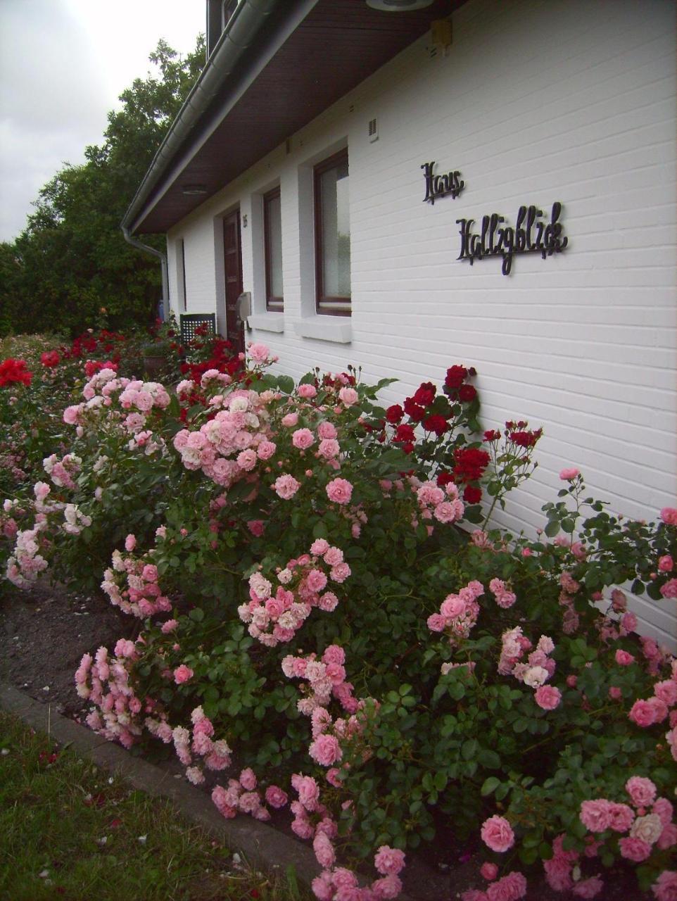 Haus-Halligblick-Ferienwohnung-Hamburger-Hallig Dagebüll Εξωτερικό φωτογραφία