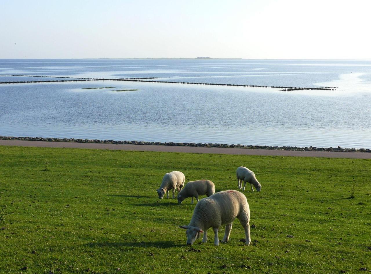 Haus-Halligblick-Ferienwohnung-Hamburger-Hallig Dagebüll Εξωτερικό φωτογραφία